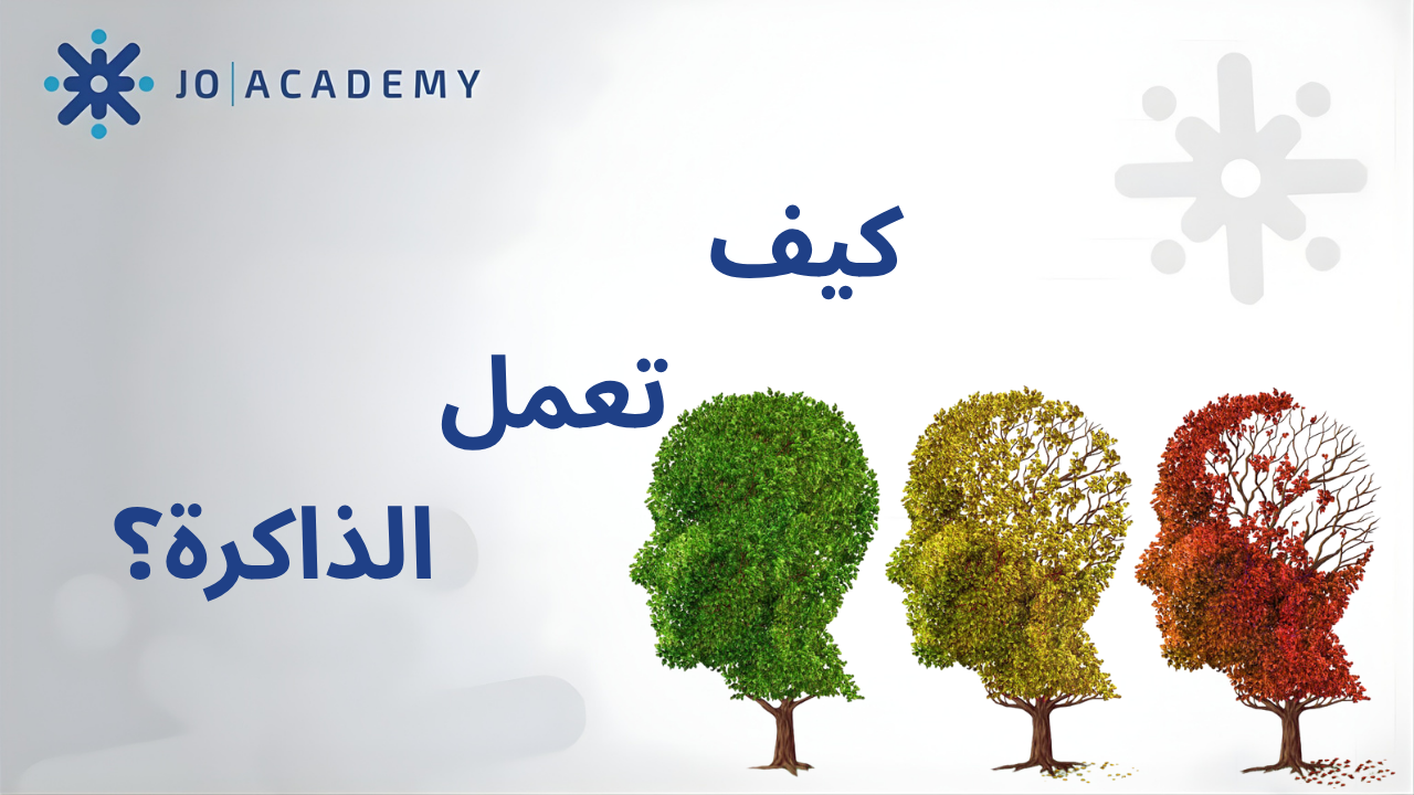 كيف تعمل الذاكرة؟
