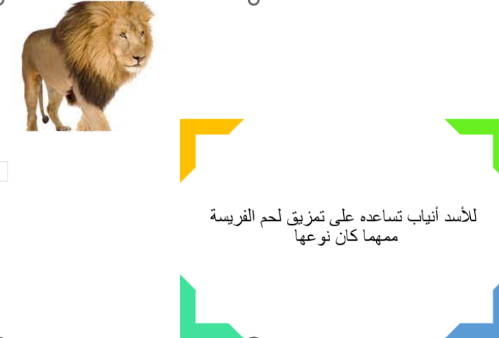 أوراق تلخيص لوحدة العلاقات بين الكائنات  للصف الرابع