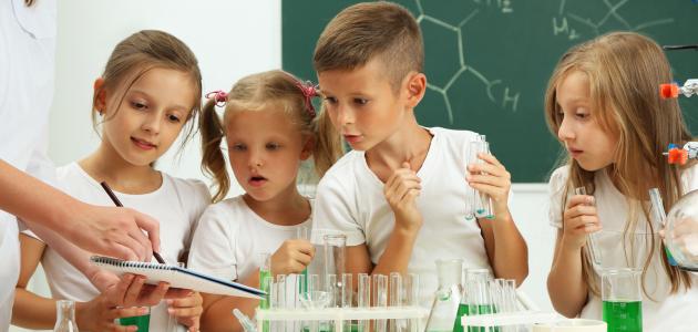 أوراق عمل النباتات والحيوانات للصف الأول