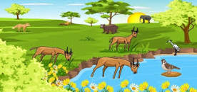 أوراق تلخيص لوحدة البيئة للصف السادس