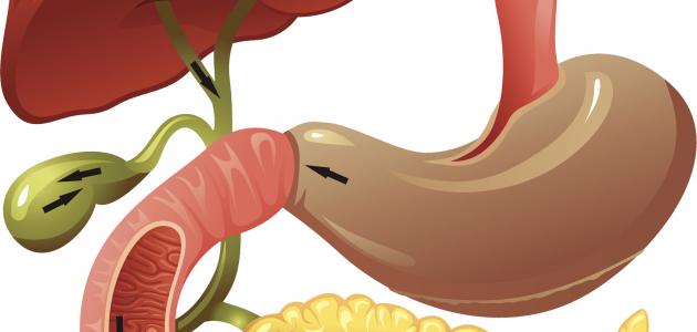 أنزيم المالتيز