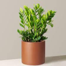 امتحان علوم للشهر الثاني للصف السابع