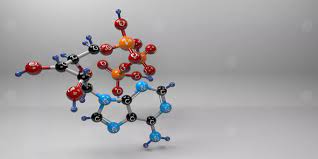 جزيء حفظ الطاقة ATP