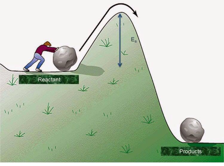 طاقة التنشيط