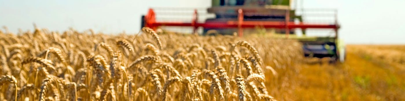 الزراعة في الأردن-توجيهي تاريخ الاردن