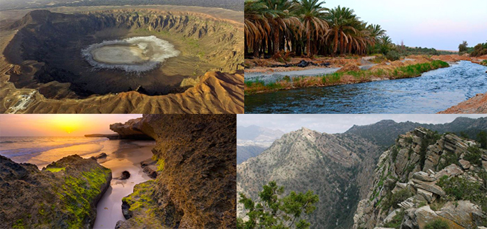 حفظ التنوع الحيوي واستدامته-أحياء توجيهي