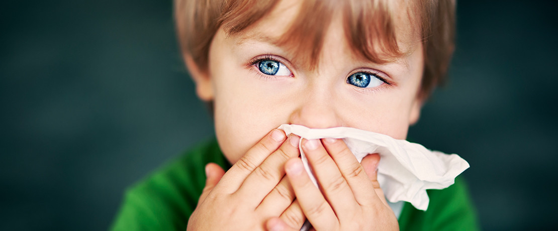 الحساسية  اللغة العربية 2007