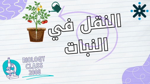 النقل في النبات - أحياء 2008