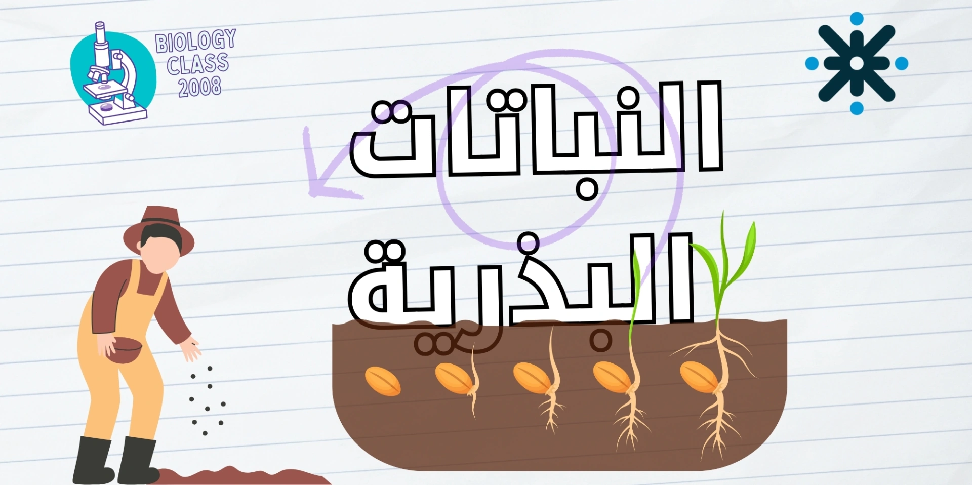 النباتات البذرية - أحياء 2008