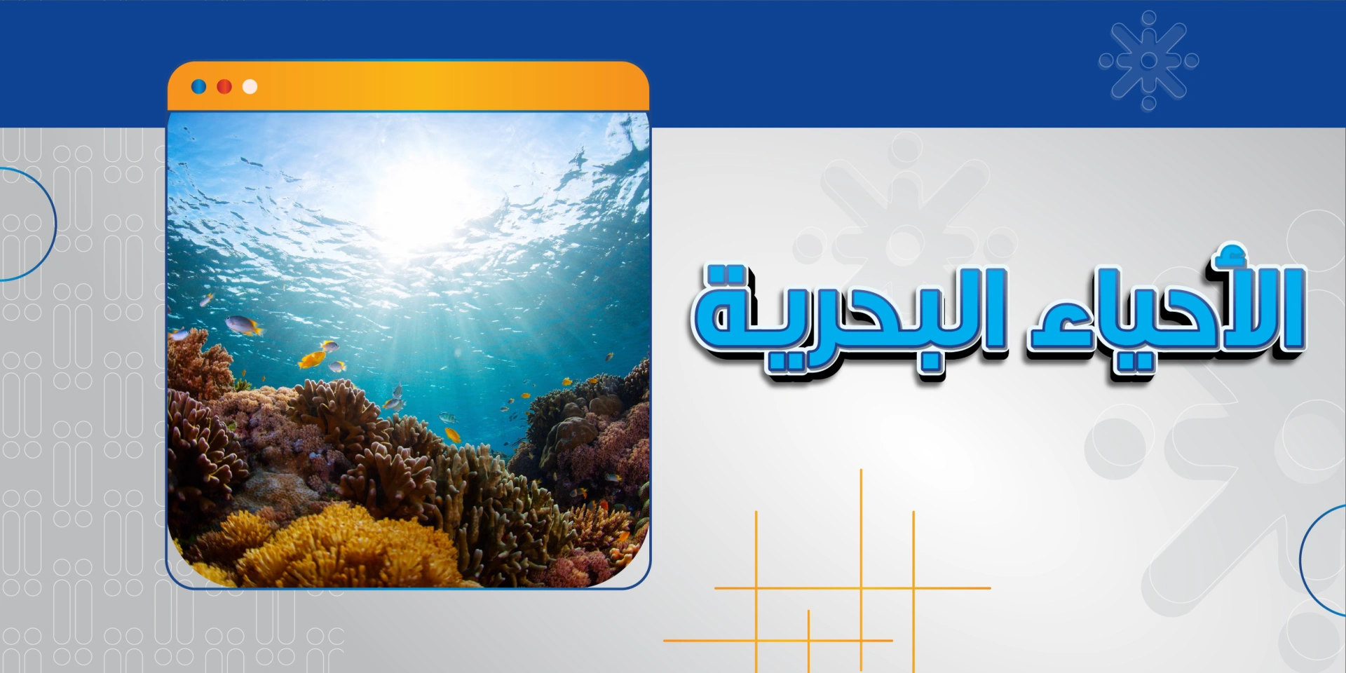 الأحياء البحرية