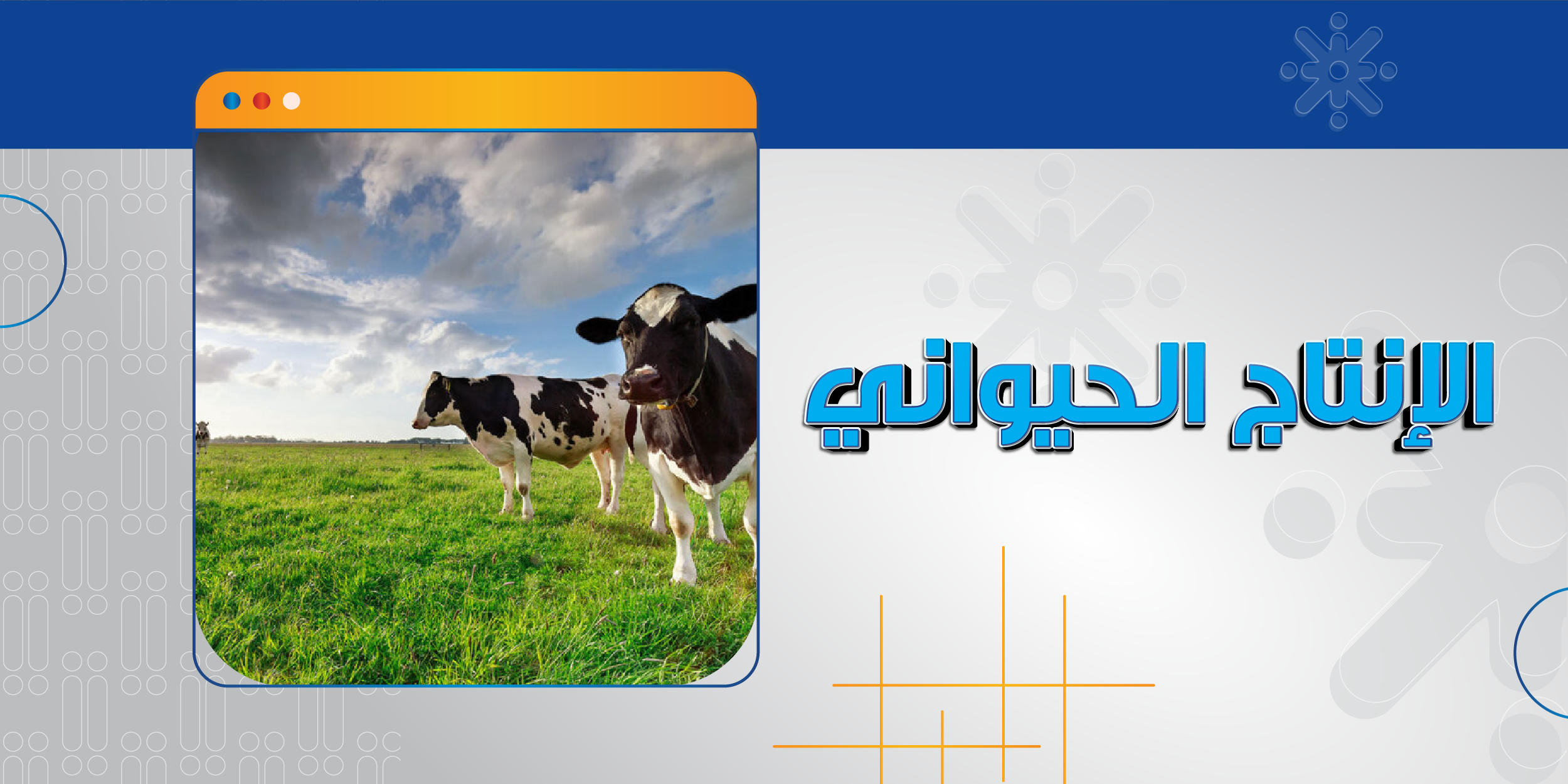 الإنتاج الحيواني