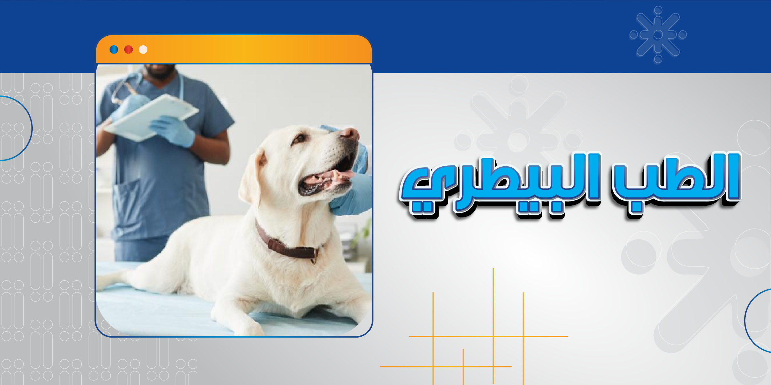 الطب البيطري