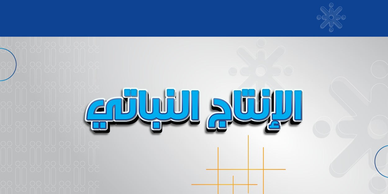 الإنتاج النباتي