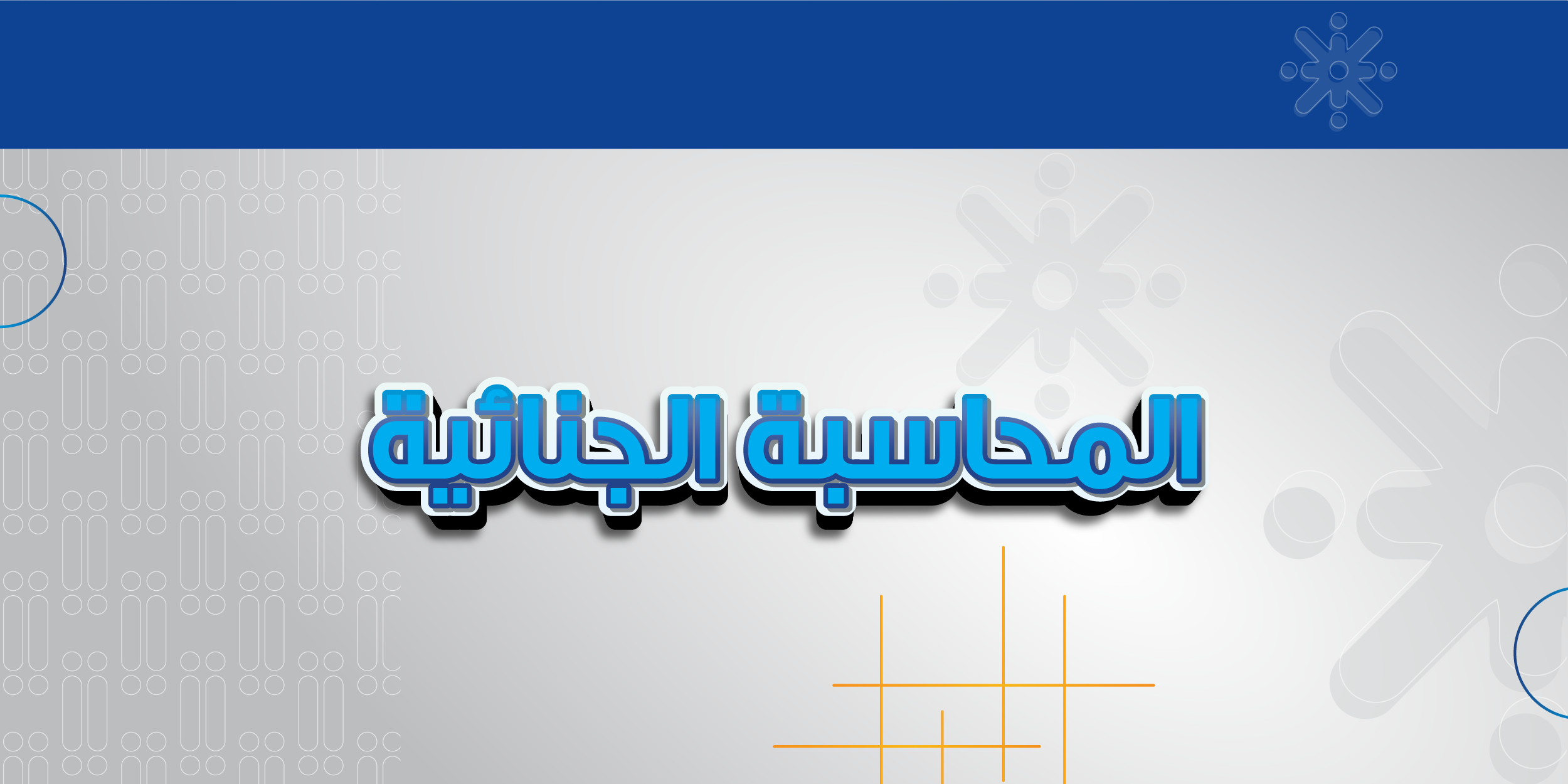 المحاسبة الجنائية