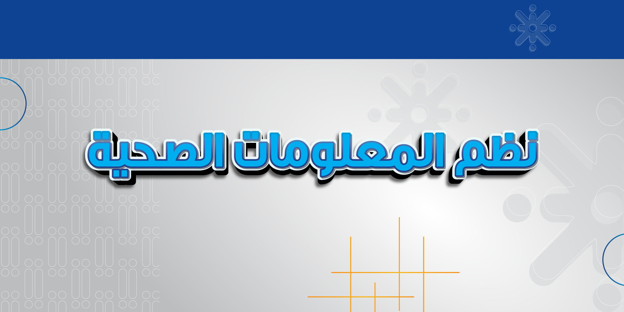 نظم المعلومات الصحية